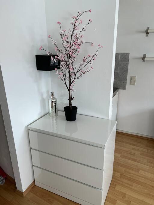 Kleines Apartment Im Zentrum Von Wuerzburg Extérieur photo